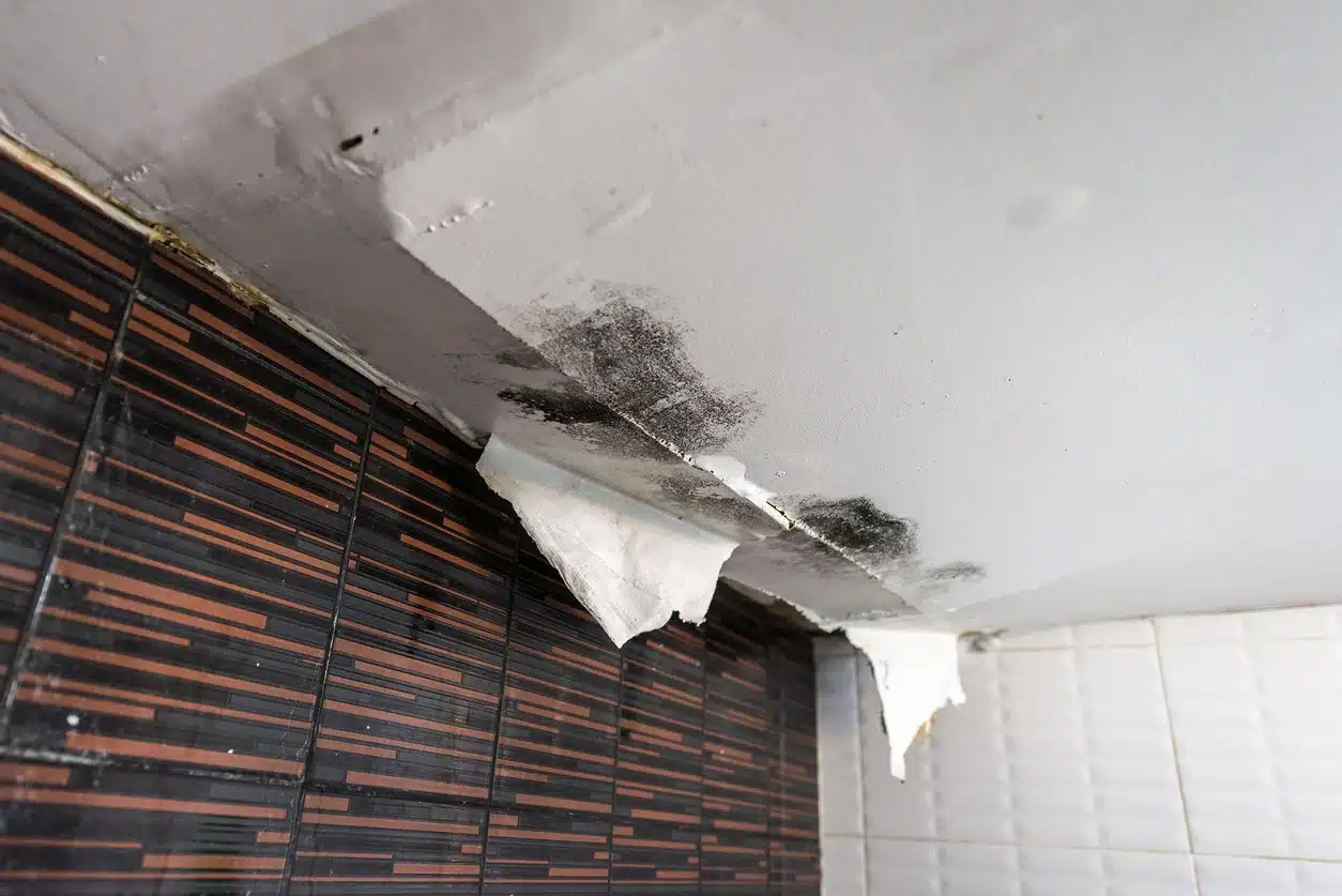 roof leaks