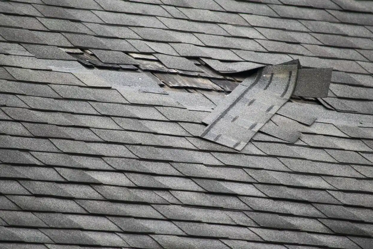 roof leak detection