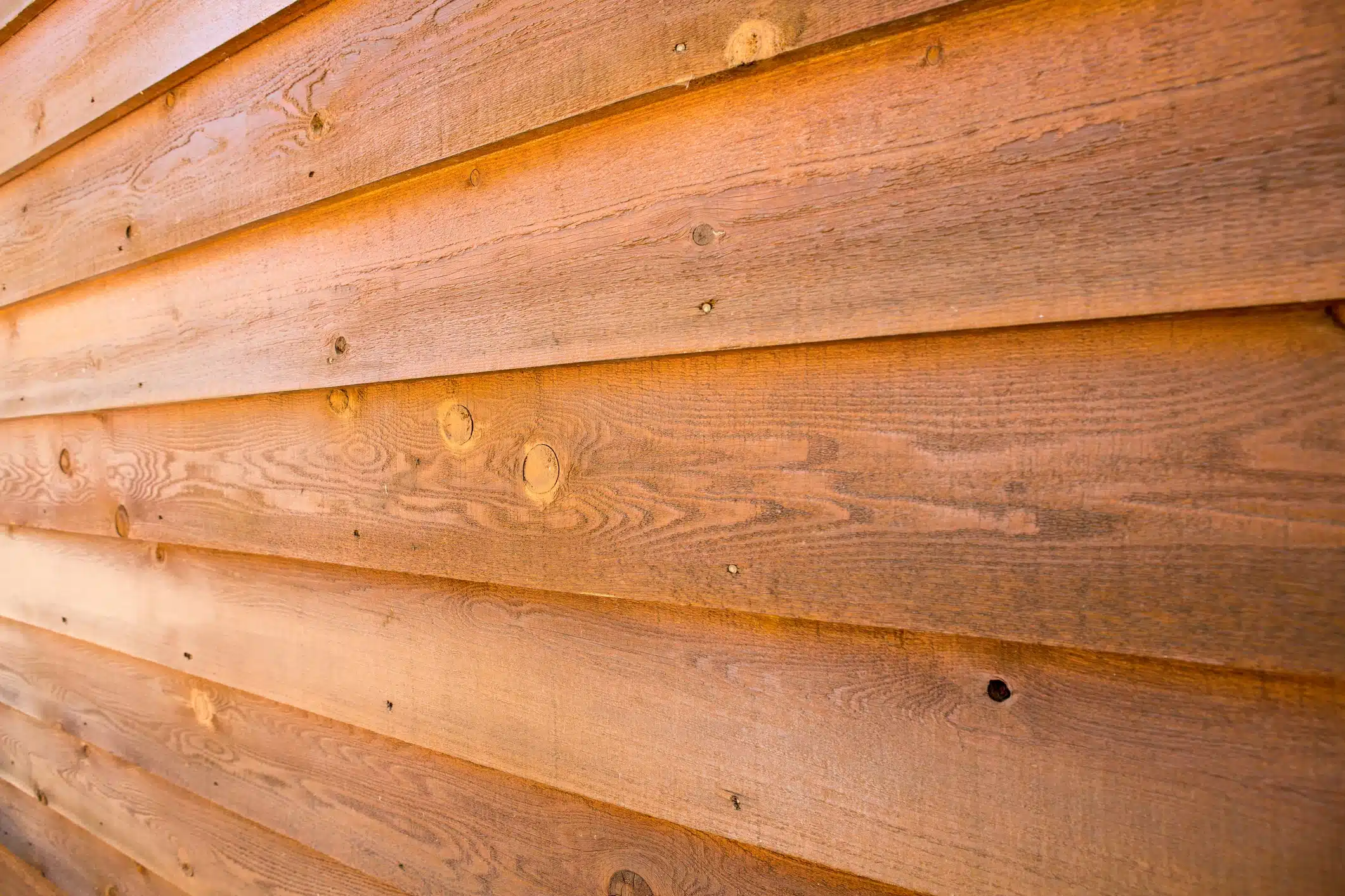 Engineered Wood Siding